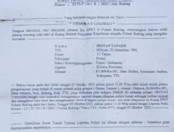 Keluarga Korban Pertanyakan Kinerja Polisi di Sektor Polsek Boking, Polres TTS Terkait Lambatnya Penanganan Kasus Penganiayan di Desa Meusin