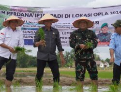 Kebut Optimasi Lahan, Petani OKI