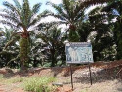 Sengketa Tanah Adat di Tumbang Puroh, Perjuangan Panjang Dihel Menuntut Keadilan