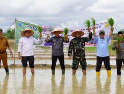 Kementan Target Cetak 125 Ribu Hektare Sawah Baru di OKI