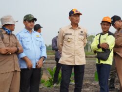 Pj. Bupati OKI Cek Program Oplah di Kecamatan Pampangan