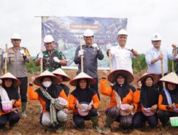 Lahan PSR di OKI Ditanami Padi Gogo, Dukung Swasembada Pangan Prabowo