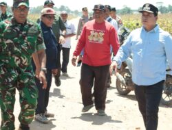 Bupati Banyuasin Tinjau Langsung Kesiapan Panen Jagung Wapres RI