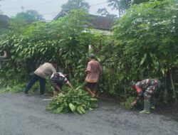 Wujudkan Lingkungan Sehat, Babinsa Bersama Warga Karangtengah Gotong Royong Bersihkan Jalan
