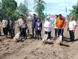 Musi Banyuasin Targetkan Swasembada Pangan 2025