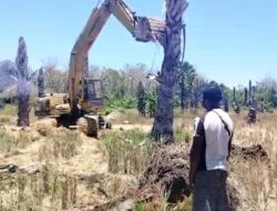 Perkuat Ketahanan Pangan, Kelompok Tani Nekmese Boking Cetak Sawah Swadaya 4 Hektare
