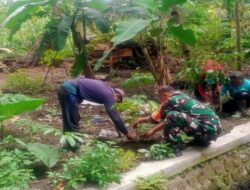 Dukung Penghijauan, Babinsa Garum Bersama Gapoktan dan Warga Tanam Pohon Mahoni
