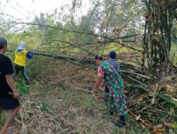 Babinsa Kelurahan Bence Ajak Warga Bersihkan Ranting Bambu yang Menutupi Akses Jalan Persawahan