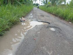 Jalan Penghubung Pedamaran-Suka Damai Memprihatinkan, Warga Keluhkan Janji Politik yang Tak Kunjung Terealisasi