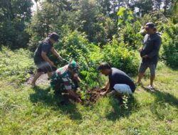 Jaga Kelestarian Lingkungan, Babinsa Gogodeso Bersama Warga Tanam Pohon Keras