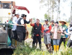 Panen Raya Songo Makmur, Bupati Banyuasin Ajak Warga Manfaatkan Lahan Sekitar Persawahan
