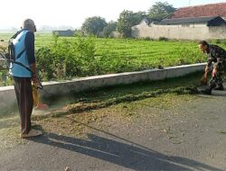 Ciptakan Lingkungan Bersih, Babinsa Bersama Masyarakat Laksanakan Karya Bhakti