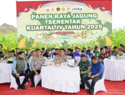 Sinergi Polres OKI dan Pemda Warnai Panen Raya Jagung Serentak