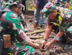 Rehabilitasi Penanaman Pohon di Bandara Siboru, Wujud Kepedulian TNI–Polri dan Pemda Jaga Alam Papua Barat