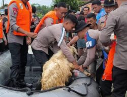 Hujan Deras Sebabkan Sungai Muara Balak Meluap, 73 Rumah Warga di OKU Timur Terdampak Banjir, Waspada dan Tetap Aman