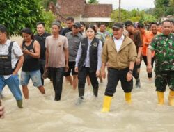Tinjau Banjir di Desa Raman Jaya OKUT, Gubernur HD Serahkan Paket Sembako dan Bantu Bibit Padi