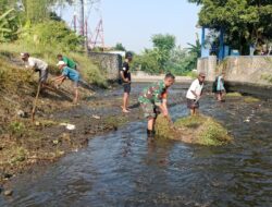 Maksimalkan Pasokan Air Pertanian, Babinsa Karangsari dan Poktan Margomulyo Bersihkan Saluran Irigasi