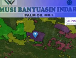 Penataan Izin Perkebunan di Musi Banyuasin Menunggu Verifikasi Faktual Pemerintah Daerah