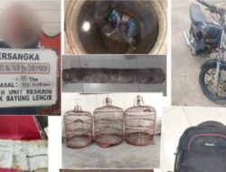Misteri Jasad dalam Tandon Air di Bayung Lencir Terungkap, Polisi Tangkap Pelaku Perampokan Berujung Pembunuhan