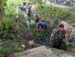 Cegah Banjir Musim Hujan, Babinsa Ngaringan Gotong Royong Bersihkan Gorong-Gorong