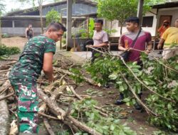 Anggota Koramil 0808/06 Srengat Bersama Warga, Polsek dan BPBD Gotong Royong Bersihkan Pohon Tumbang Pasca Angin Puting Beliung
