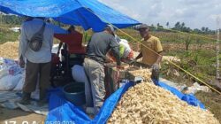 Polsek Bosar Maligas Dukung Program Ketahanan Pangan Presiden RI, Monitoring Penggilingan Jagung di Nagori Parbutaran
