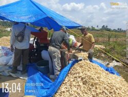 Polsek Bosar Maligas Dukung Program Ketahanan Pangan Presiden RI, Monitoring Penggilingan Jagung di Nagori Parbutaran