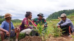 Disela Kesibukan, Satgas TMMD ke-127 Kodim 0808/Blitar Jalin Keakraban Bersama Petani