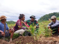 Disela Kesibukan, Satgas TMMD ke-127 Kodim 0808/Blitar Jalin Keakraban Bersama Petani