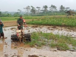 Dukung Swasembada Pangan, Babinsa Pohgajih Aktif Dampingi Petani Siapkan Lahan Sawah