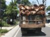 Truk Angkut Sawit PTPN 4 kebun Marihat Tanpa Jaring Abaikan Keselamatan Pengendara  Lain