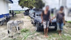 Masyarakat Hubungi 110, Polsek Dolok Batu Nanggar dan Unit Jatanras Polres Simalungun Sigap Bekuk Dua Pencuri Anak Lembu yang Kabur Pakai Mobil Sedan