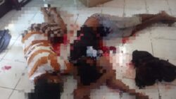 Warga Fakfak Digegerkan Penemuan Perempuan 24 Tahun Tewas di Belakang Toko Primadona, Polisi Selidiki Dugaan Penikaman