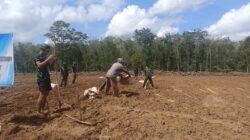 Satgas TMMD Kodim 0402/OKI Tanam Jagung 1,5 Hektar Demi Perkuat Ketahanan Pangan Desa
