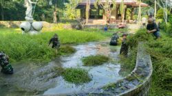 Babinsa Ngadirejo Bersama Warga Gelar Kerja Bakti di Wisata Rohani Goa Maria Sendang Rejo