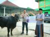 Kapolres OKI Serahkan Hewan Kurban dari Kapolda Sumsel untuk Pondok Pesantren di Lempuing