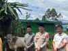 Idul Adha 1447 H, Kapolda Sumsel Salurkan Sapi Kurban untuk Pengurus Cabang Nahdlatul Ulama Kota Pagar Alam Melalui Polres Pagar Alam