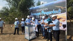 PT Prime Agri Resources Tbk Lepas Serangga Penyerbuk Asal Tanzania di Sumatera Selatan untuk Memperkuat Ketahanan Penyerbukan Kelapa Sawit