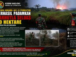 Babinsa Koramil 402-12/Pemulutan Berhasil Padamkan Karhutla Seluas 10 Hektare di Desa Pulau Negara