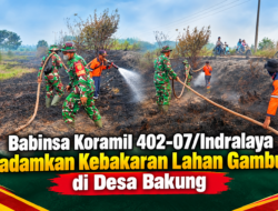 Babinsa Koramil 402-07/Indralaya Padamkan Kebakaran Lahan Gambut di Desa Bakung