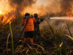 Pantang Menyerah di Tengah Kobaran Api, Babinsa Koramil 402-12/Pemulutan Berhasil Padamkan Karhutla 2,5 Hektare