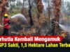 Karhutla Kembali Mengamuk di SP3 Sakti, 1,5 Hektare Lahan Terbakar