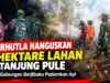 Karhutla Hanguskan 5 Hektare Lahan di Tanjung Pule, Tim Gabungan Berjibaku Padamkan Api