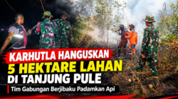Karhutla Hanguskan 5 Hektare Lahan di Tanjung Pule, Tim Gabungan Berjibaku Padamkan Api