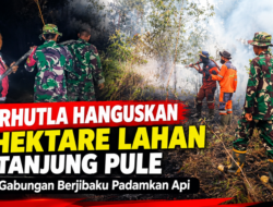 Karhutla Hanguskan 5 Hektare Lahan di Tanjung Pule, Tim Gabungan Berjibaku Padamkan Api