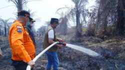 Bupati Muba Tinjau Karhutla Muara Medak, Apresiasi Kesigapan Warga dan Petugas Gabungan
