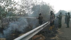 Karhutla 3 Hektare Kepung Tol KM 347 Batun Baru, Babinsa dan Tim Alpha Bergerak Cepat