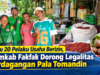 Baru 20 Pelaku Usaha Berizin, Pemkab Fakfak Dorong Legalitas Perdagangan Pala Tomandin