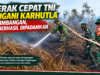Gerak Cepat TNI Tangani Karhutla di Timbangan, Api Berhasil Dipadamkan