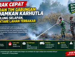 Gerak Cepat, TNI dan Tim Gabungan Padamkan Karhutla di Tulung Selapan, 7 Hektare Lahan Terbakar